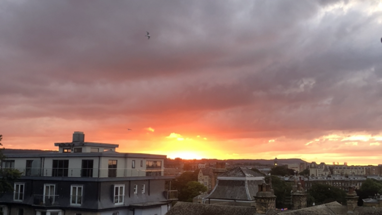 view1