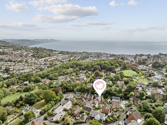 DJI_0183 pion