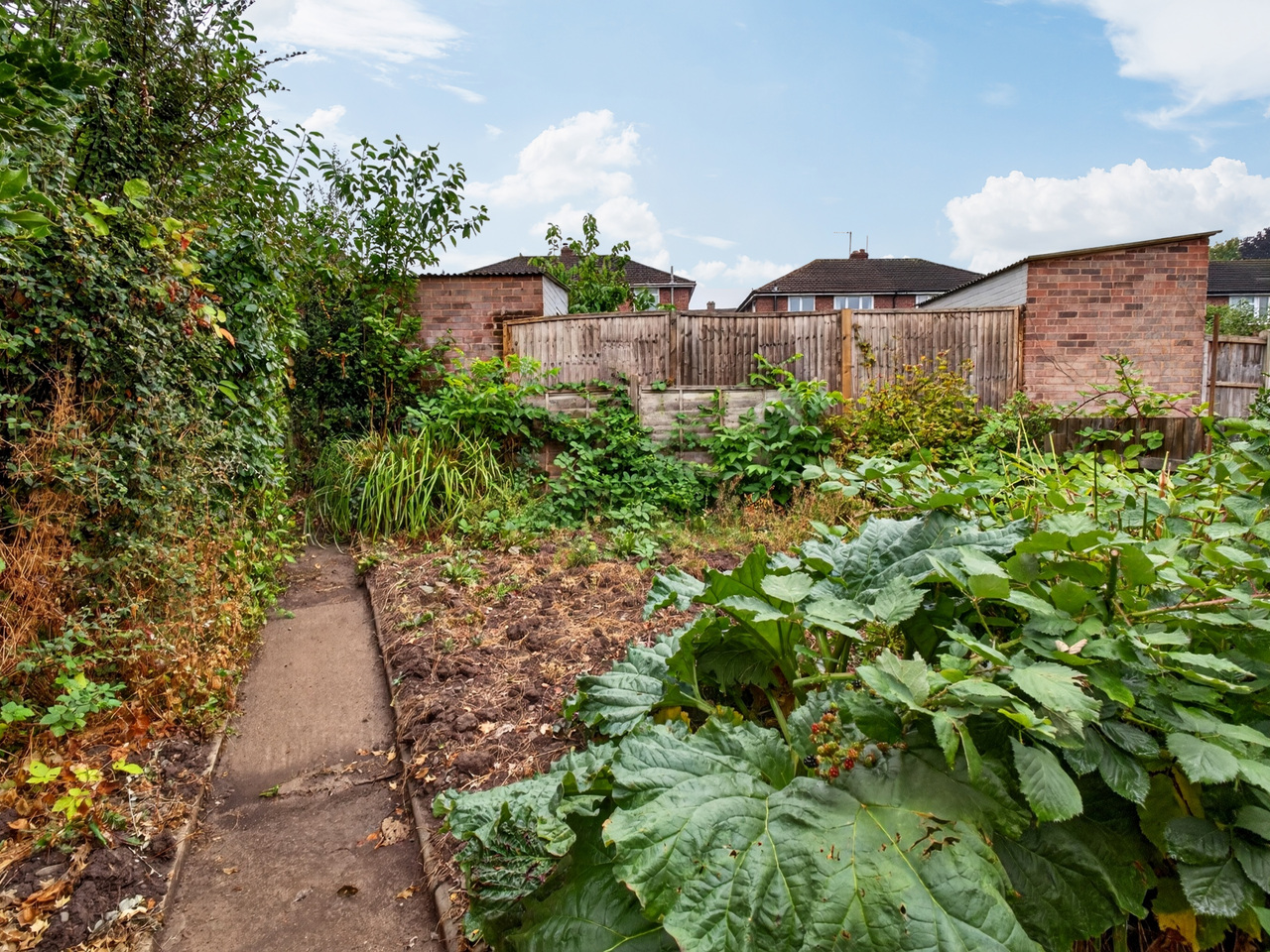 Garden (3)