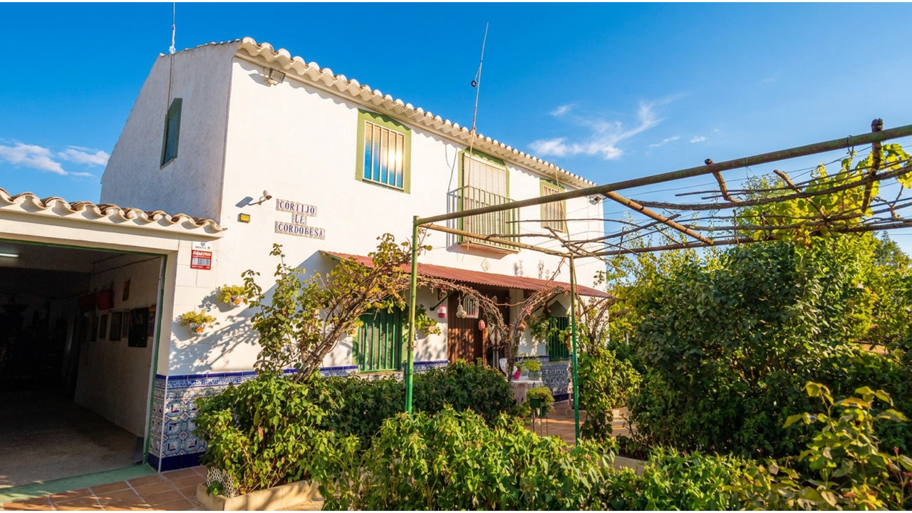 Olive Grove Estates Caudete for sale se vende spanish country house villa (13)