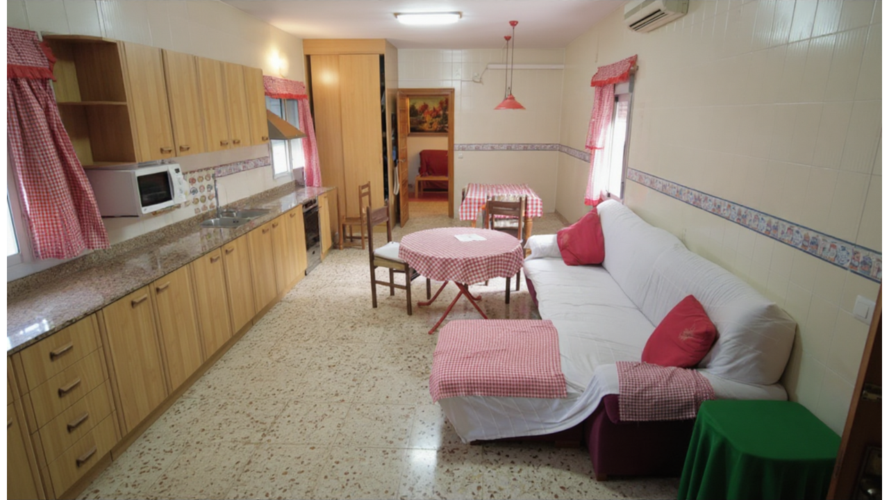 Olive Grove Real  Estate Spanish Spain  (1)