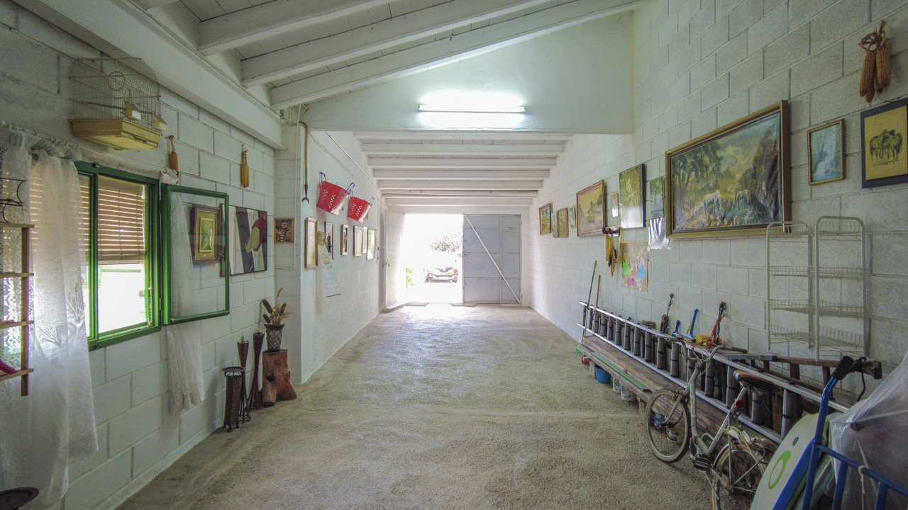 Olive Grove Real  Estate Spanish Spain  (2)