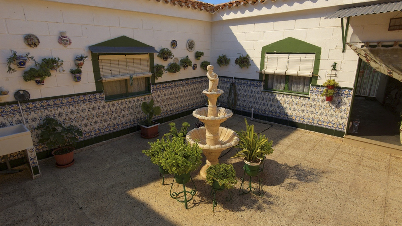 Olive Grove Real  Estate Spanish Spain  (7)