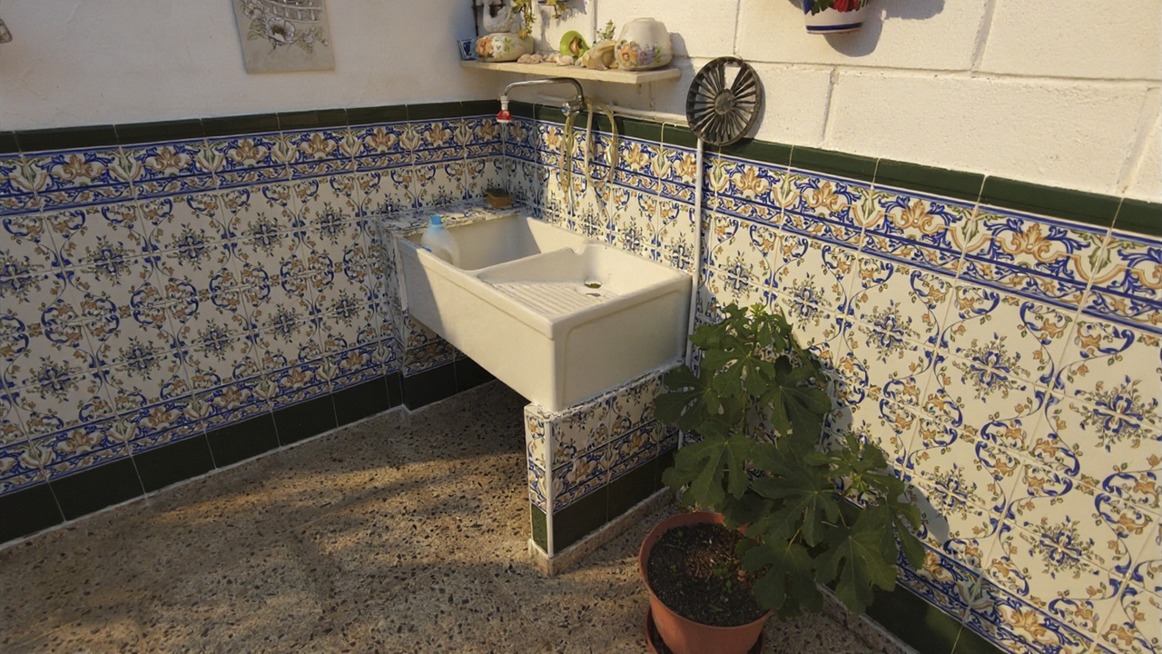 Olive Grove Real  Estate Spanish Spain  (8)