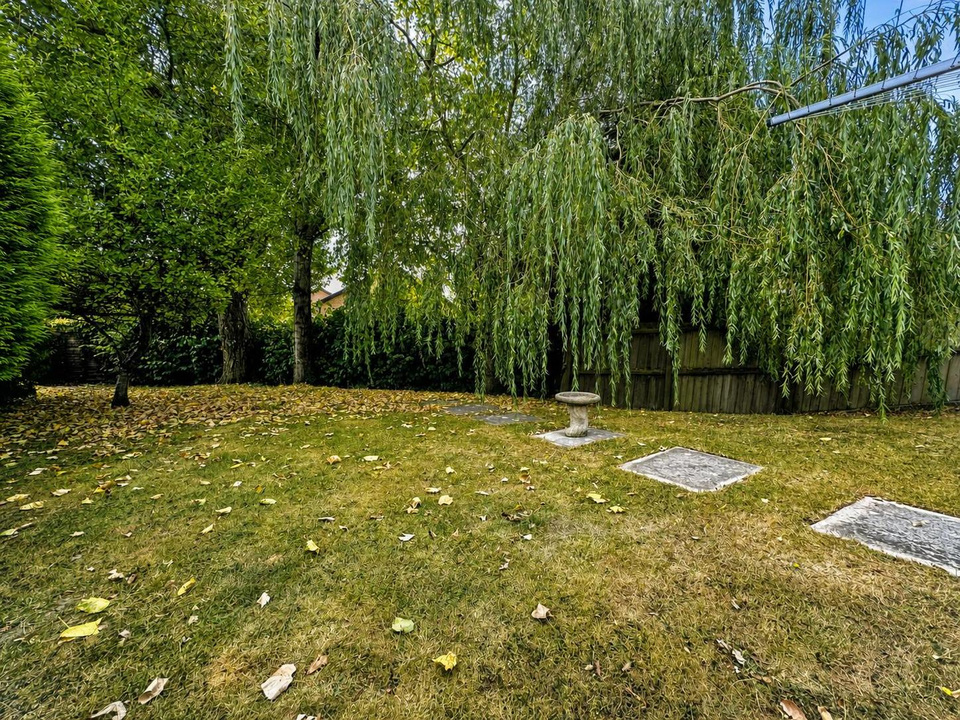 garden 4