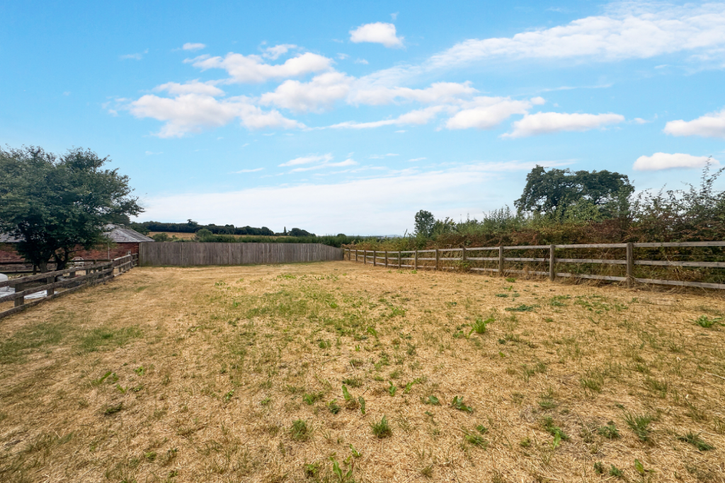 The paddock