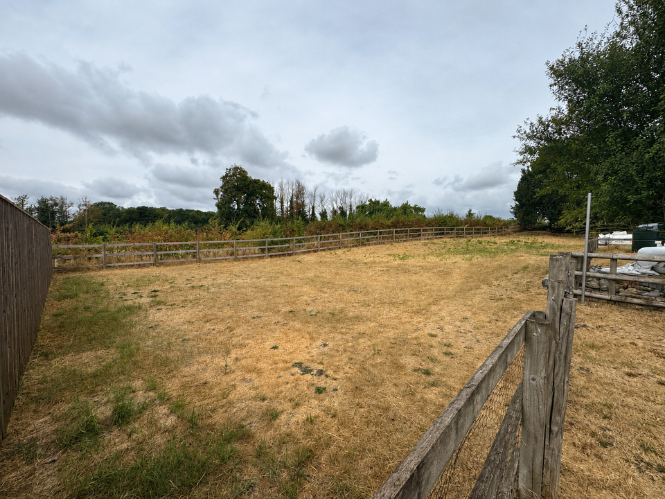 The paddock
