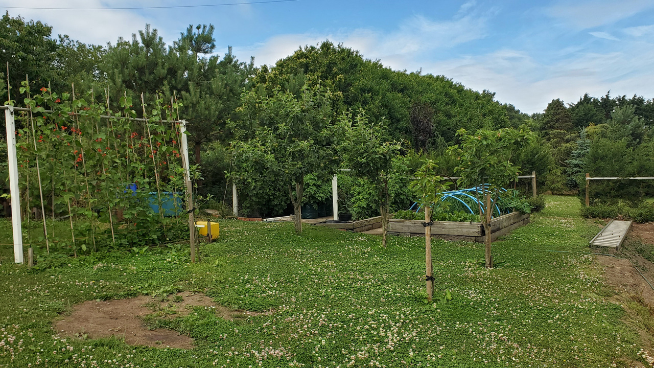 20260704_104318