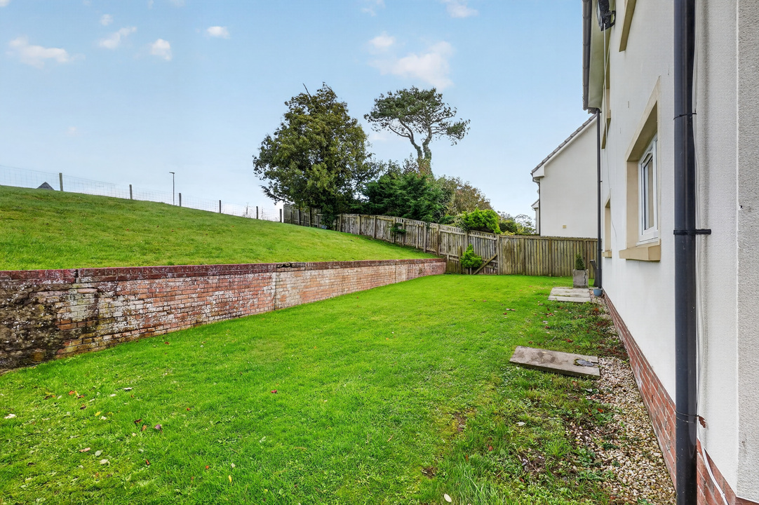 Back Garden
