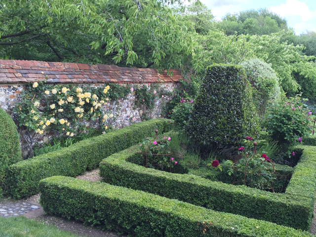Garden 8