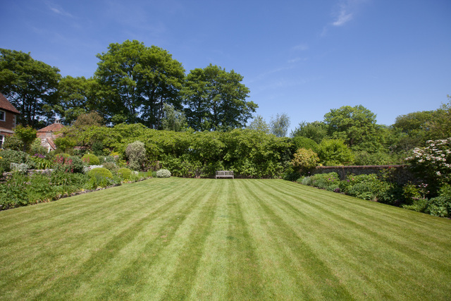 Lawn.jpg