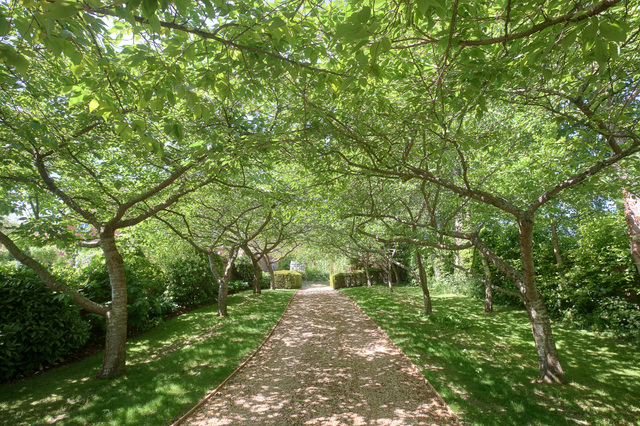 Driveway.jpg