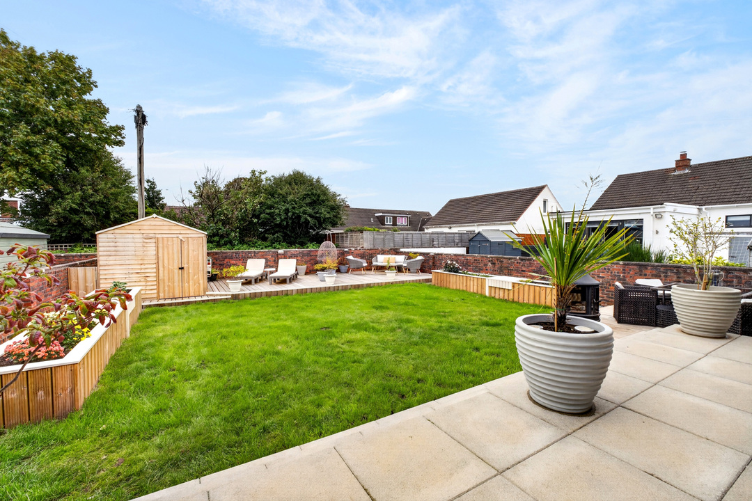 Back Garden