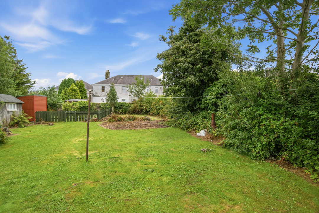 Back garden
