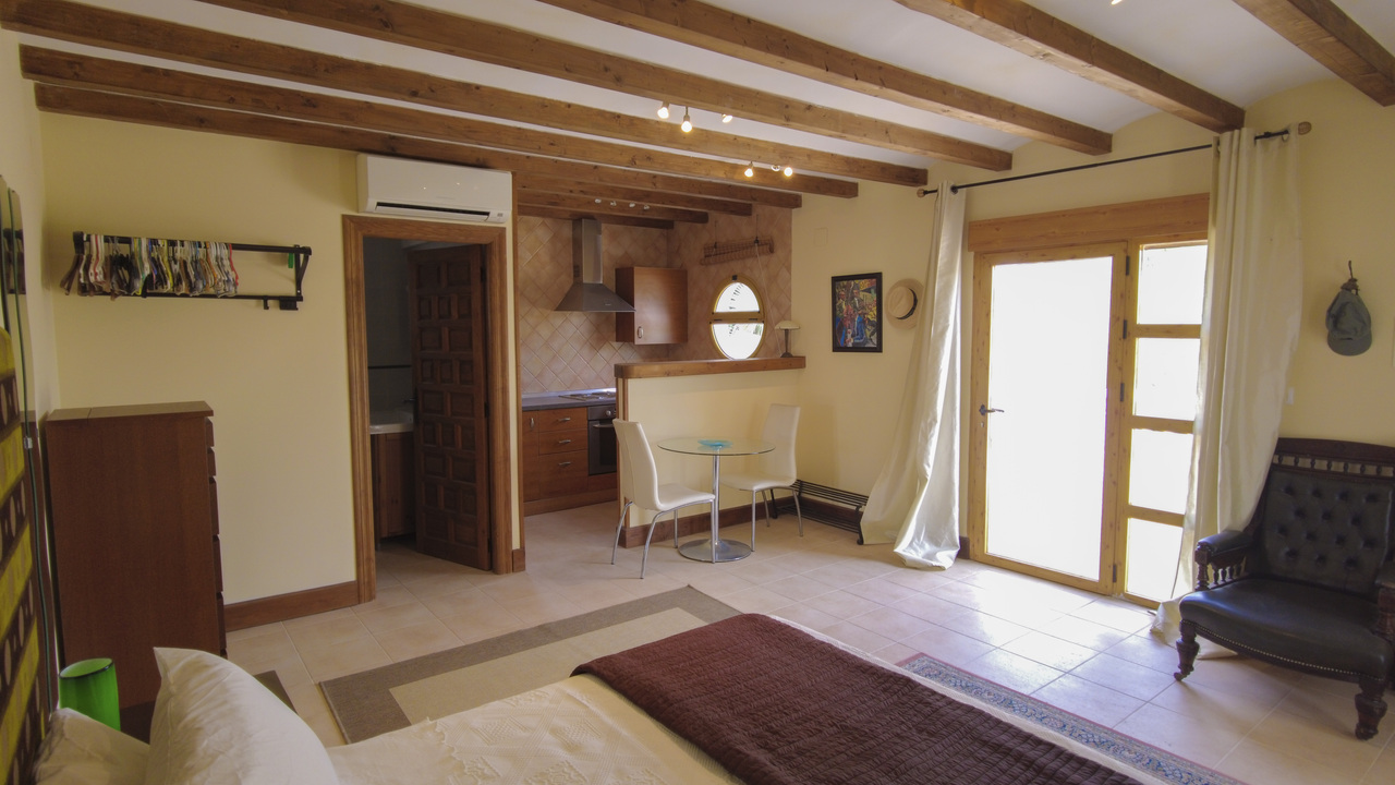 1 Olive Grove Salinas Alicante Sax for sale dream property Spain Spanish  (12)